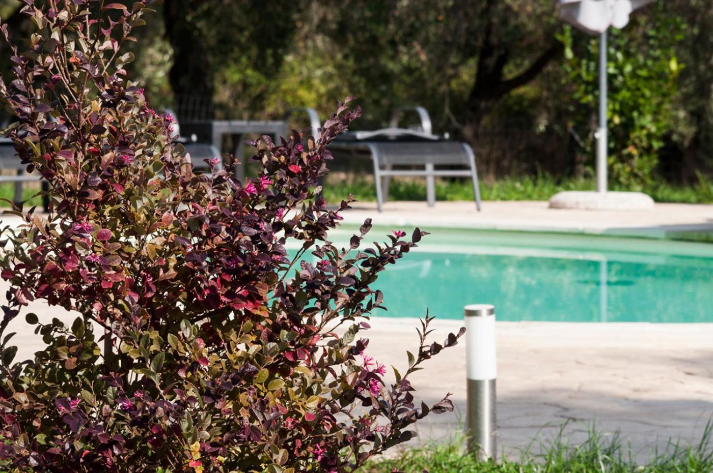 Agriturismo Tenuta Roccaccia Pitigliano Exterior foto